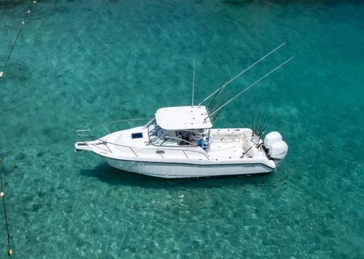 Trophy fish caught on a private Loreto fishing charter