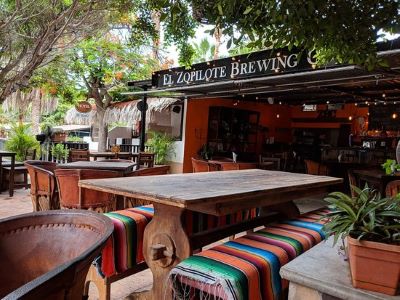 El Zopilote Brewery & Cocina Loreto Baja