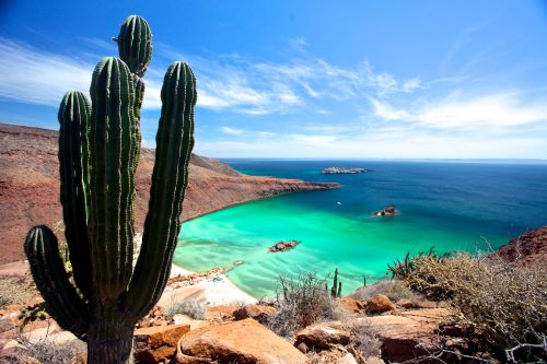 Espíritu Santo Island 