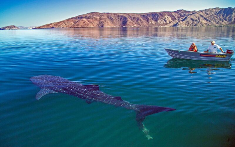 Boat and clear water near Bahía de los Ángeles in Baja California