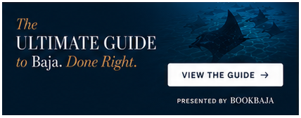 Book Baja Guide Inline Banner