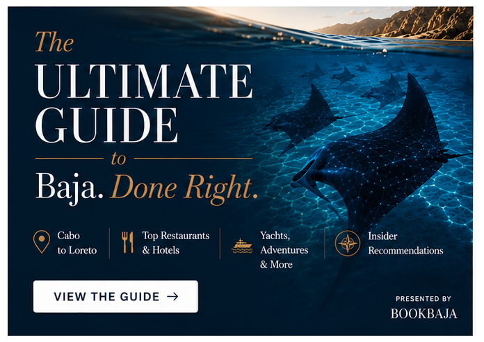 Book Baja Guide Large Rectangle Banner