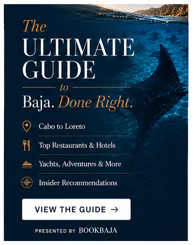 Book Baja Guide Vertical Banner