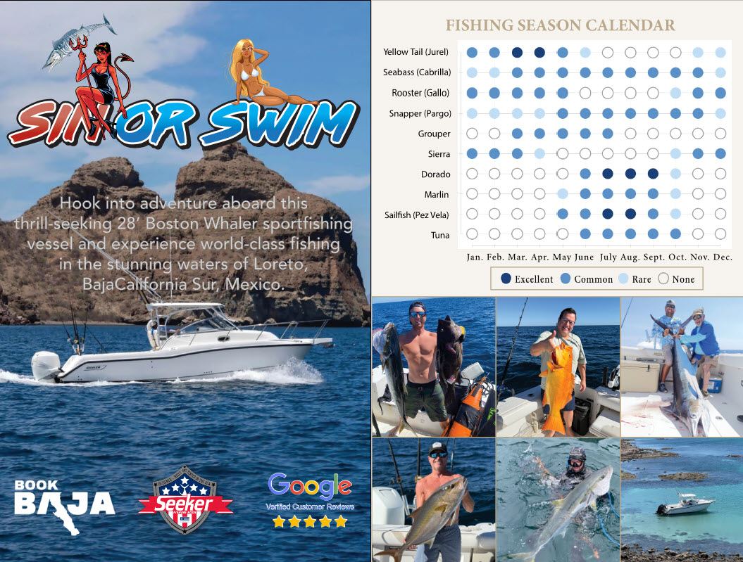Loreto fishing season calendar with Boston Whaler charter details and trophy fish catches