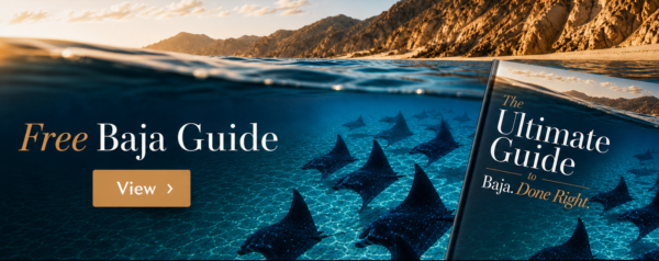 Free Baja Guide