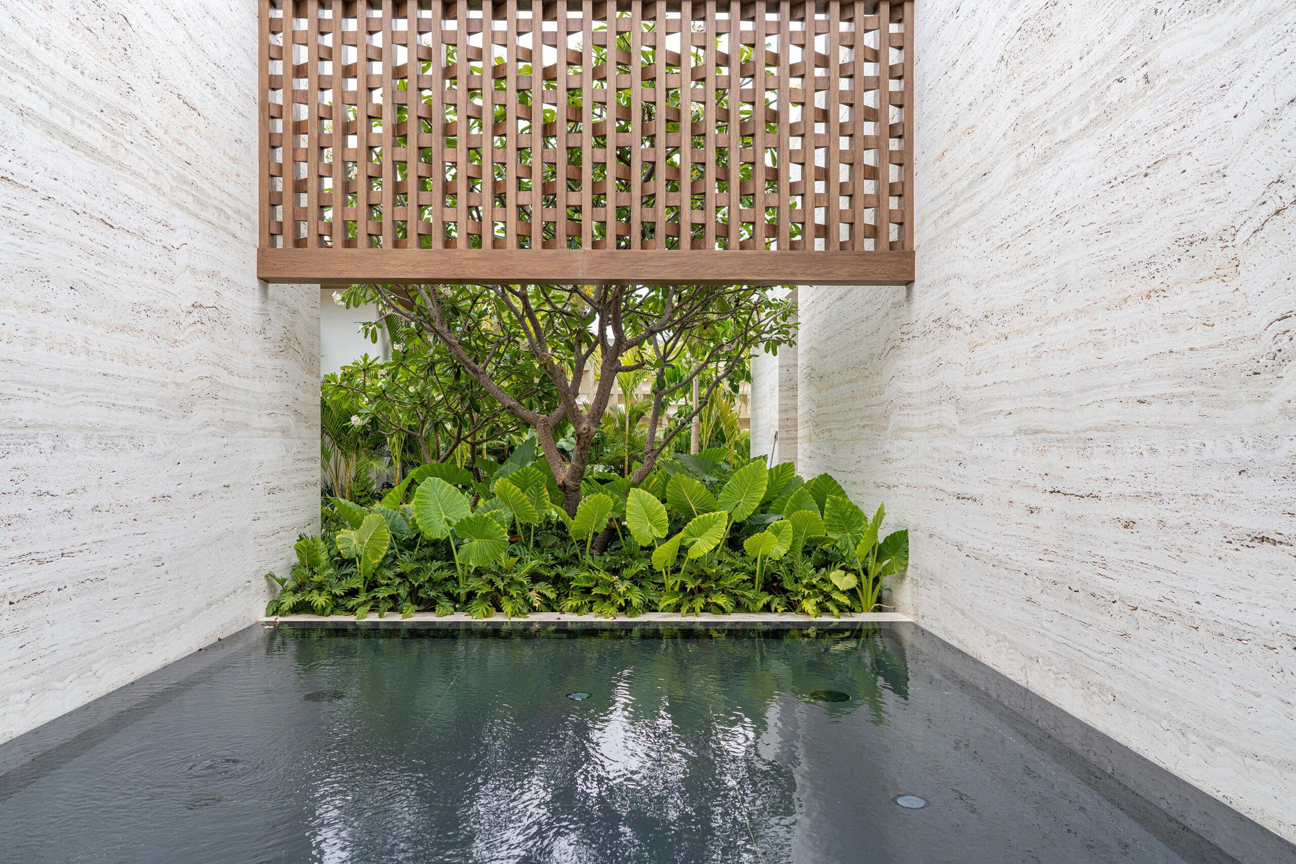 Casa Elije gorgeous architectural garden design in Palmilla Los Cabos