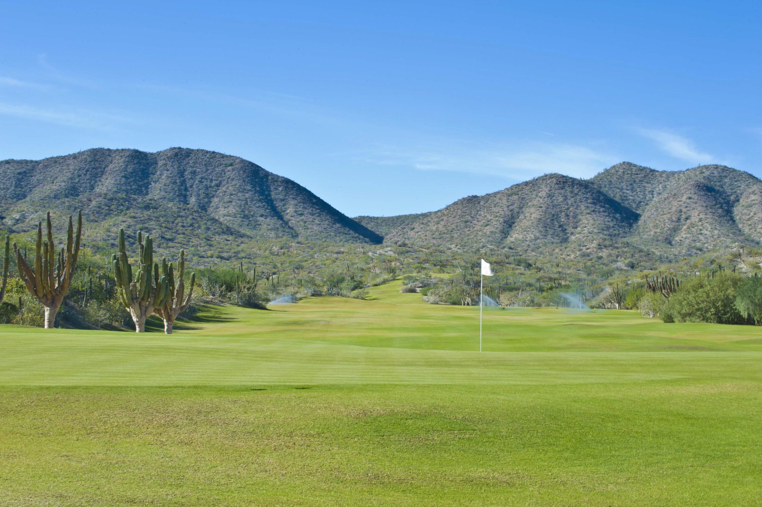 Rancho De Costa greenery and mountain view in Rancho De Costa, Beachfront Los Cabos