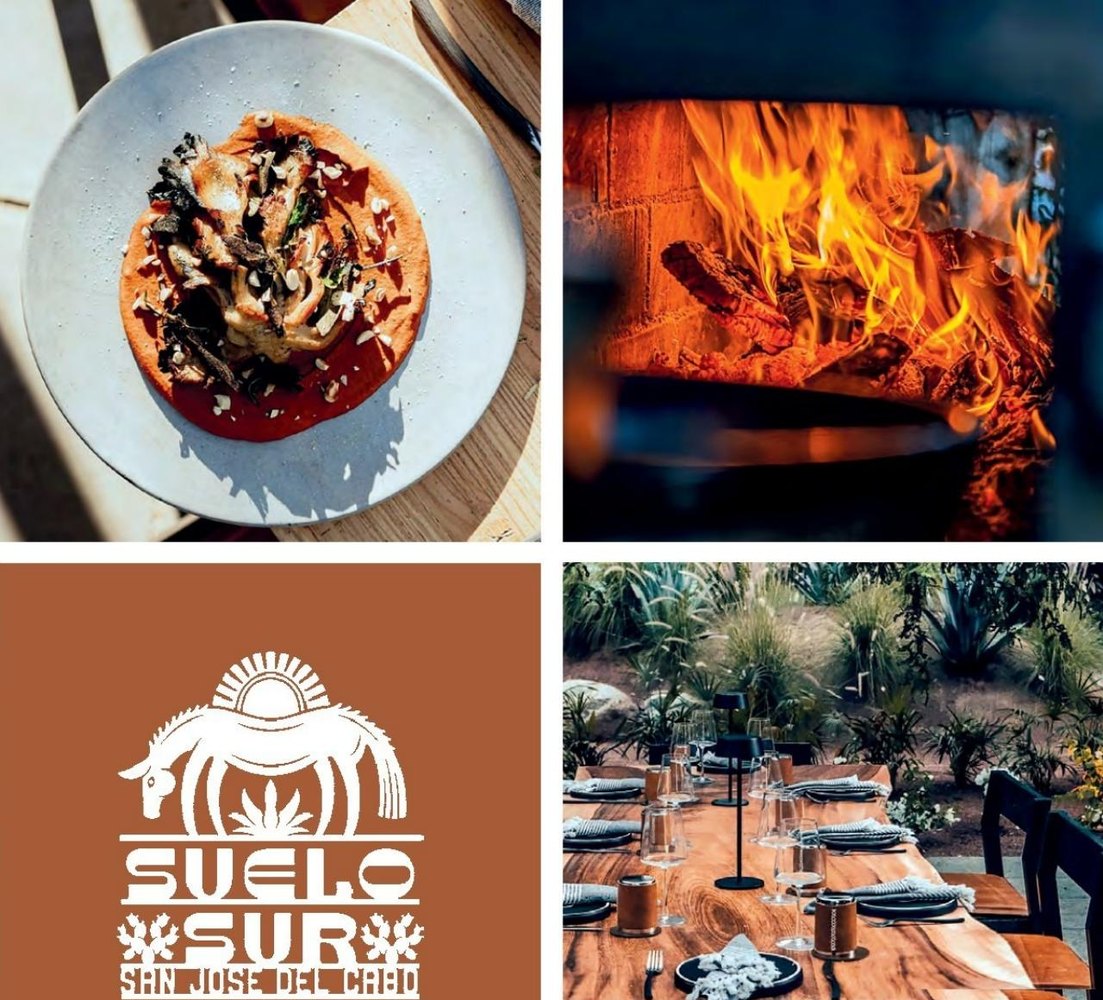 Suelo Sur dining details in San Jose del Cabo from the Book Baja 2026 Guide