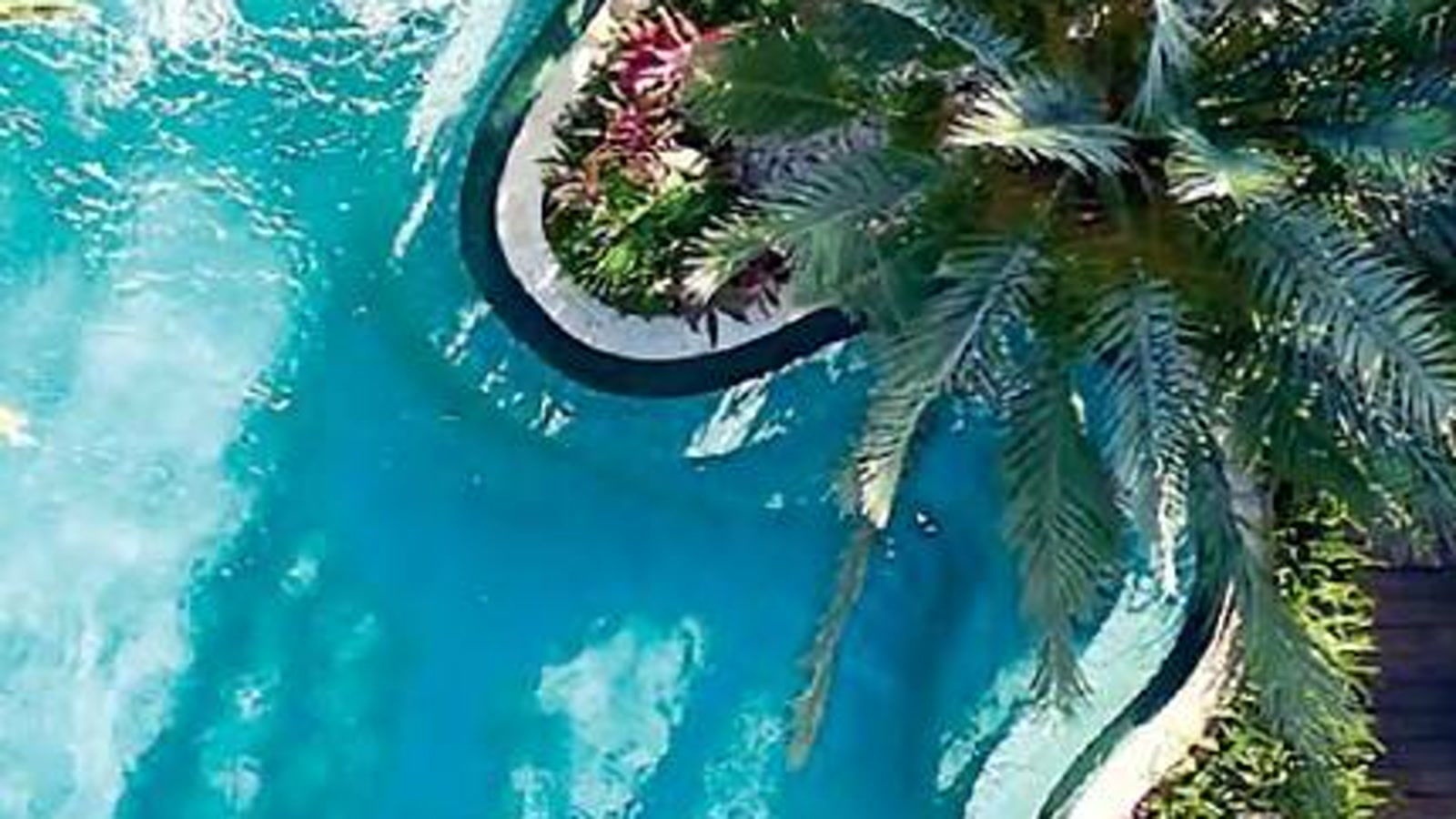 Lush wellness pool setting in San Jose del Cabo