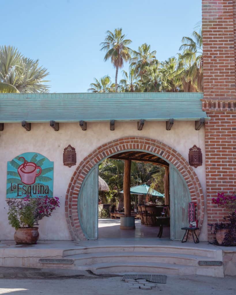 A charming entrance to La Esquina café in Todos Santos, with its signature rounded turquoise doors, brick arch, and tropical palm backdrop offering a cozy, relaxed atmosphere.