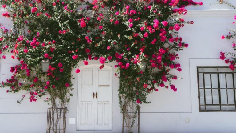A Todos Santos Day Trip From Cabo: Art, Lunch, and a Relaxed Return