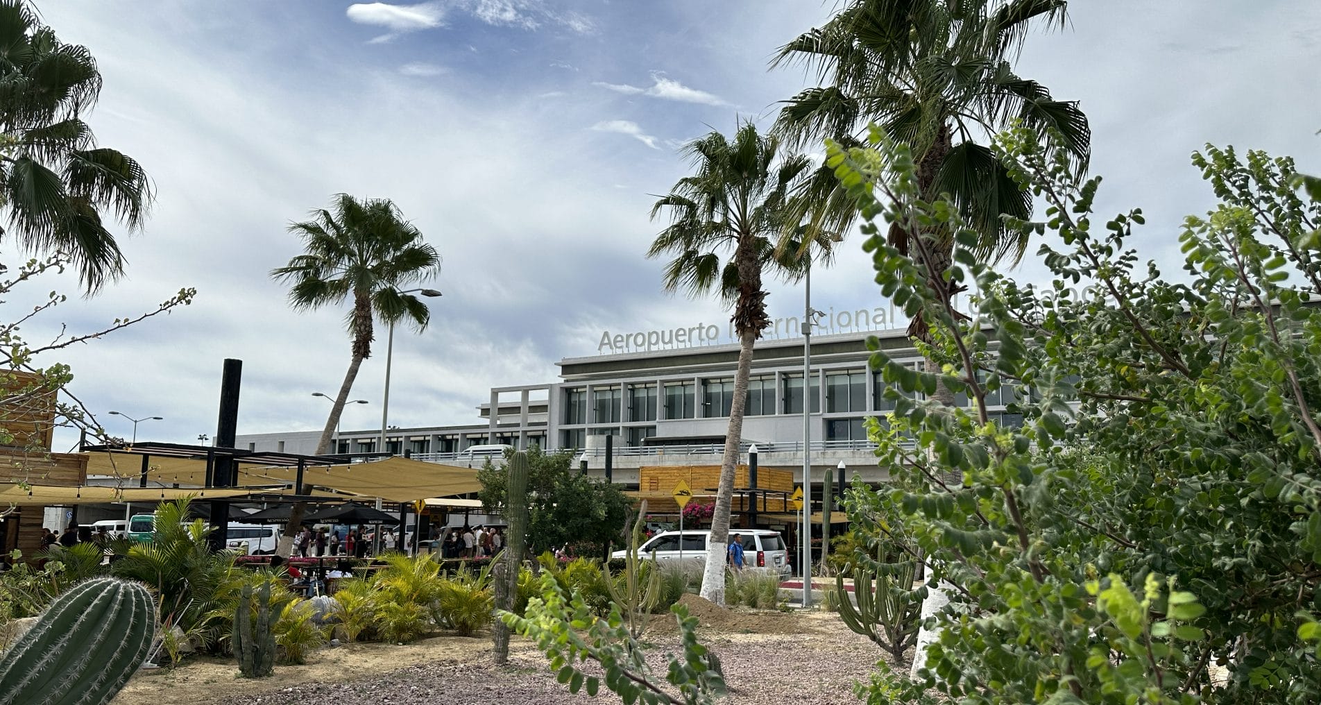 Palm trees outside Terminal 2 at Los Cabos International Airport